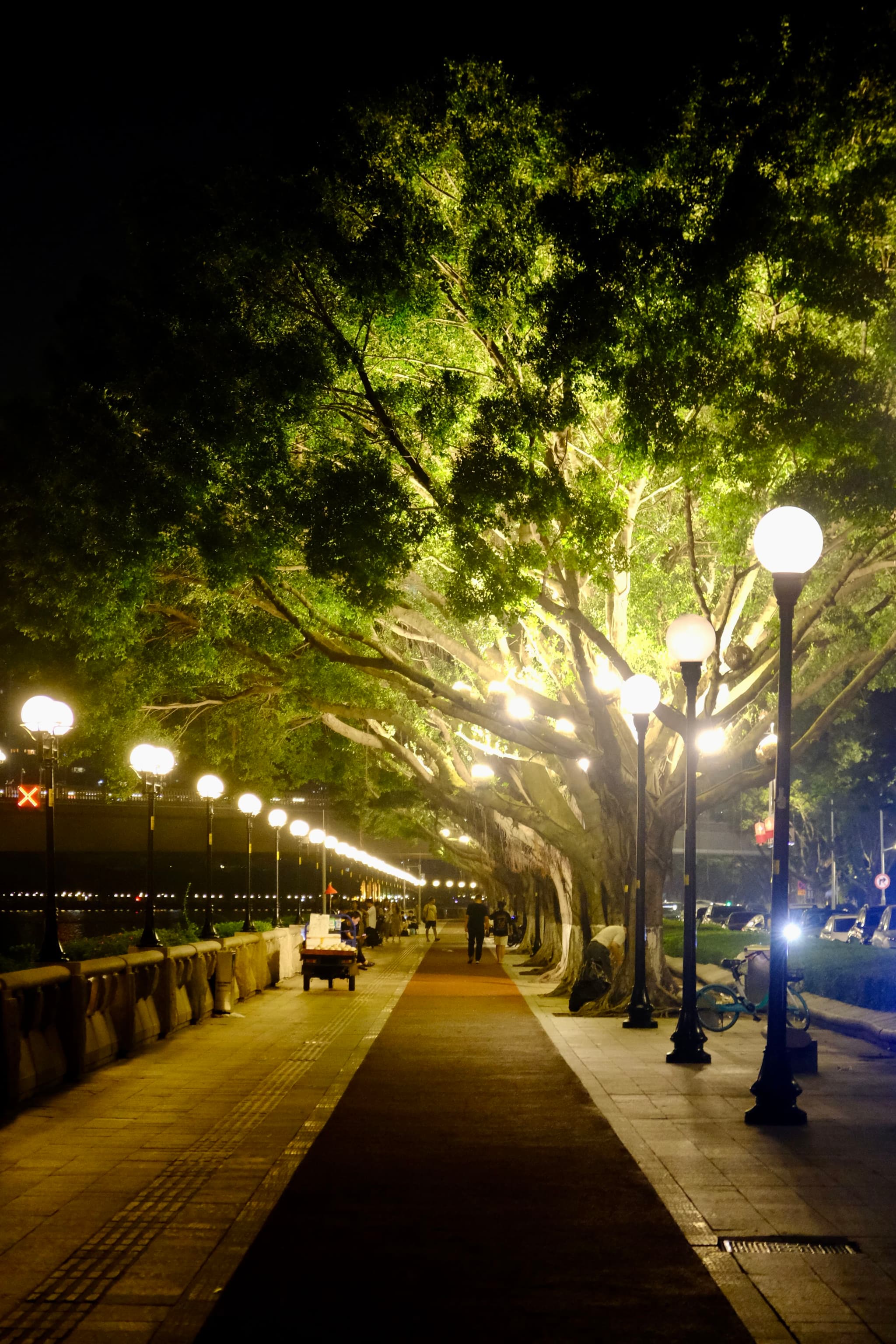 广州夏夜